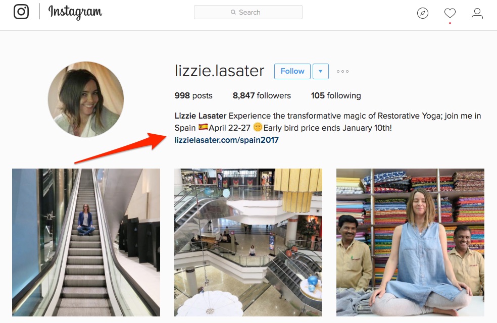 Lizzie Lasater teaches Yoga Instructors online | Thinkific Success Story