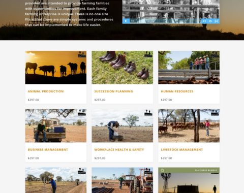 Thinkific Portfolio Example 3