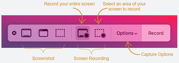 A screenshot of the options on the Mac Screenshot toolbar.