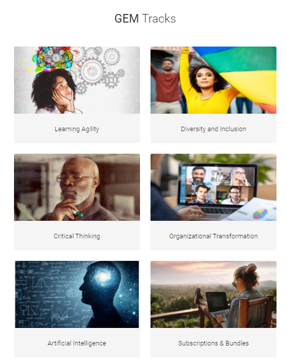 ansrsource GEM tracks, Learning Agility, Diversity and Inclusion, Critical Thinking, Organizational Transformation, Artificial Intelligence, Subscriptions and Bundles (gallery of 6)
