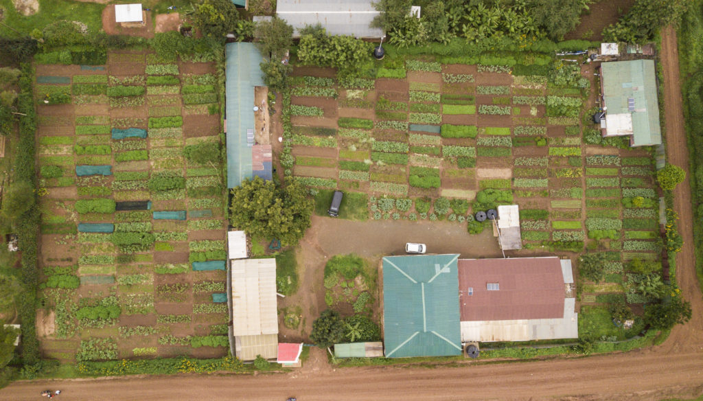 Ariel view of local sustainable food gardens