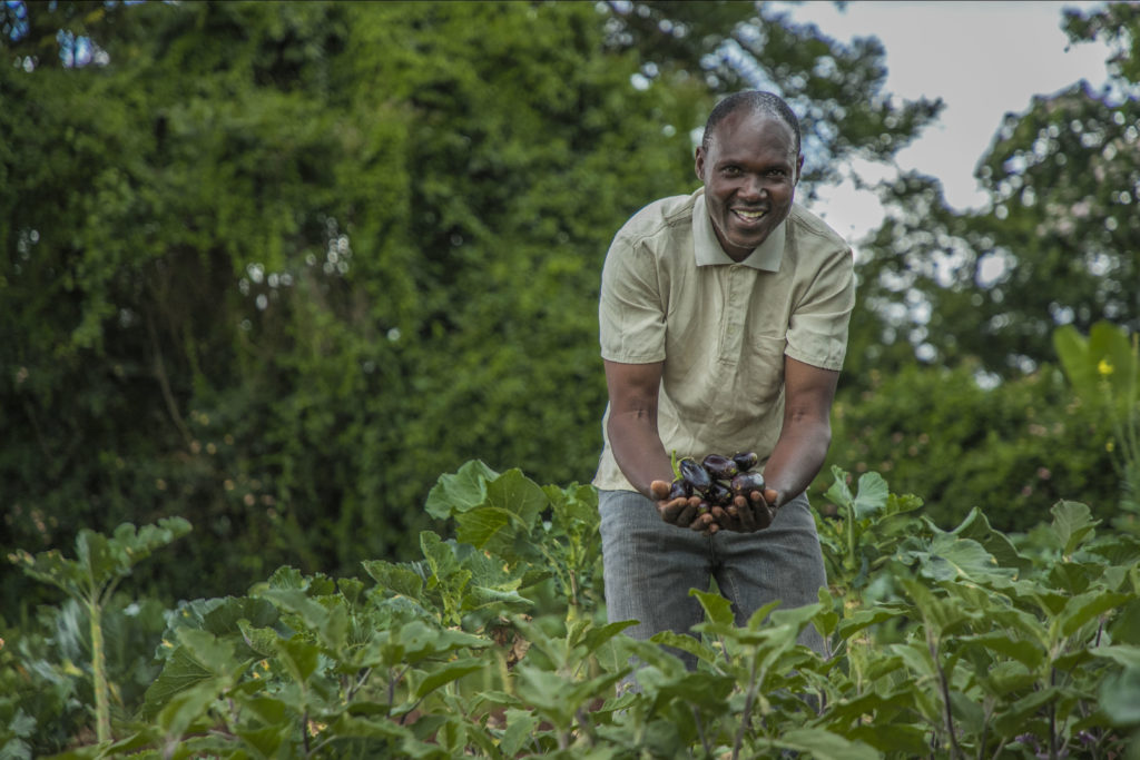 Farmer harvesting crops