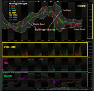 Screenshot of 10 bagger stocks learning image of fluctuating stock market