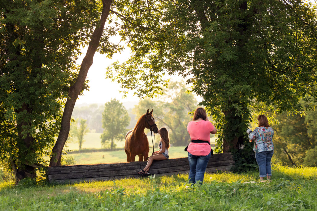 Four photographers set up to take a picture of a horse walking through some trees on a sunny day. This demonstrates a part of Shelley's mentorship program.