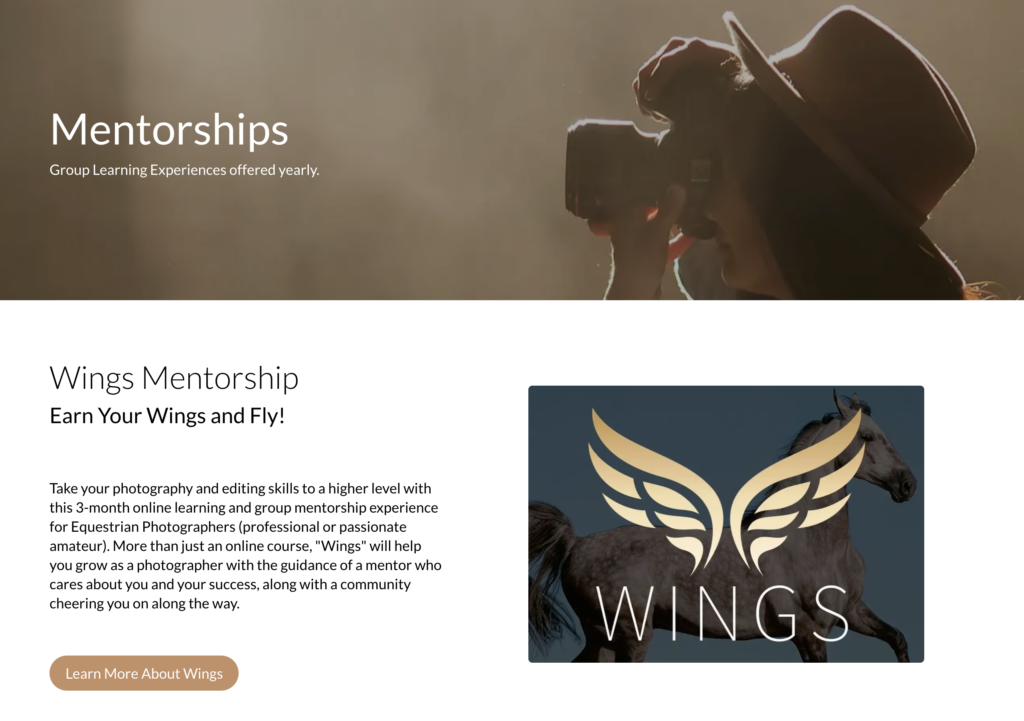 Screenshot of Shelley's wings mentorship program from thinkific.com