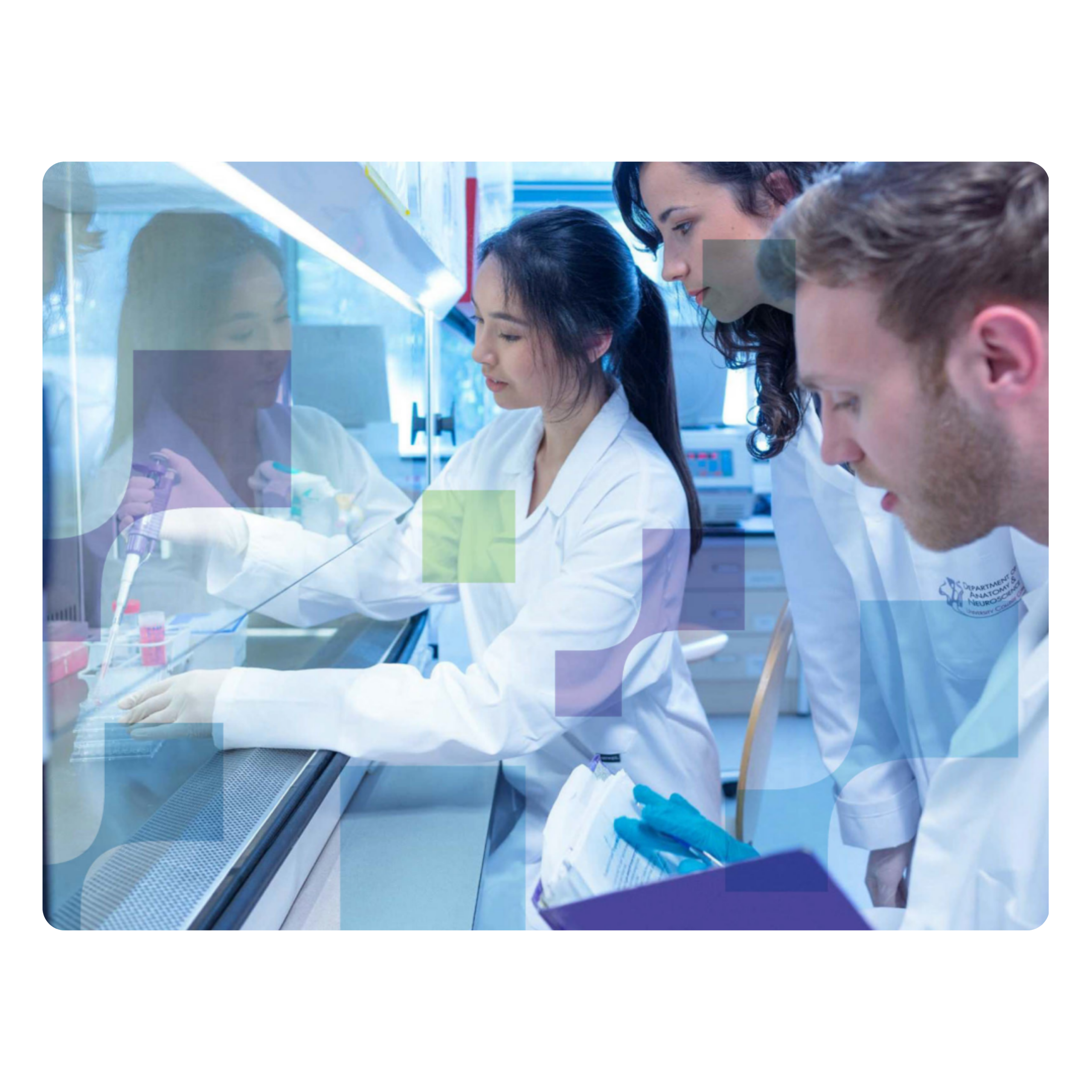 How AMETEK Spectro Scientific built a global customer-education academy on Thinkific